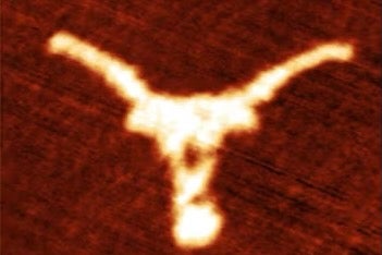 UT Longhorn logo