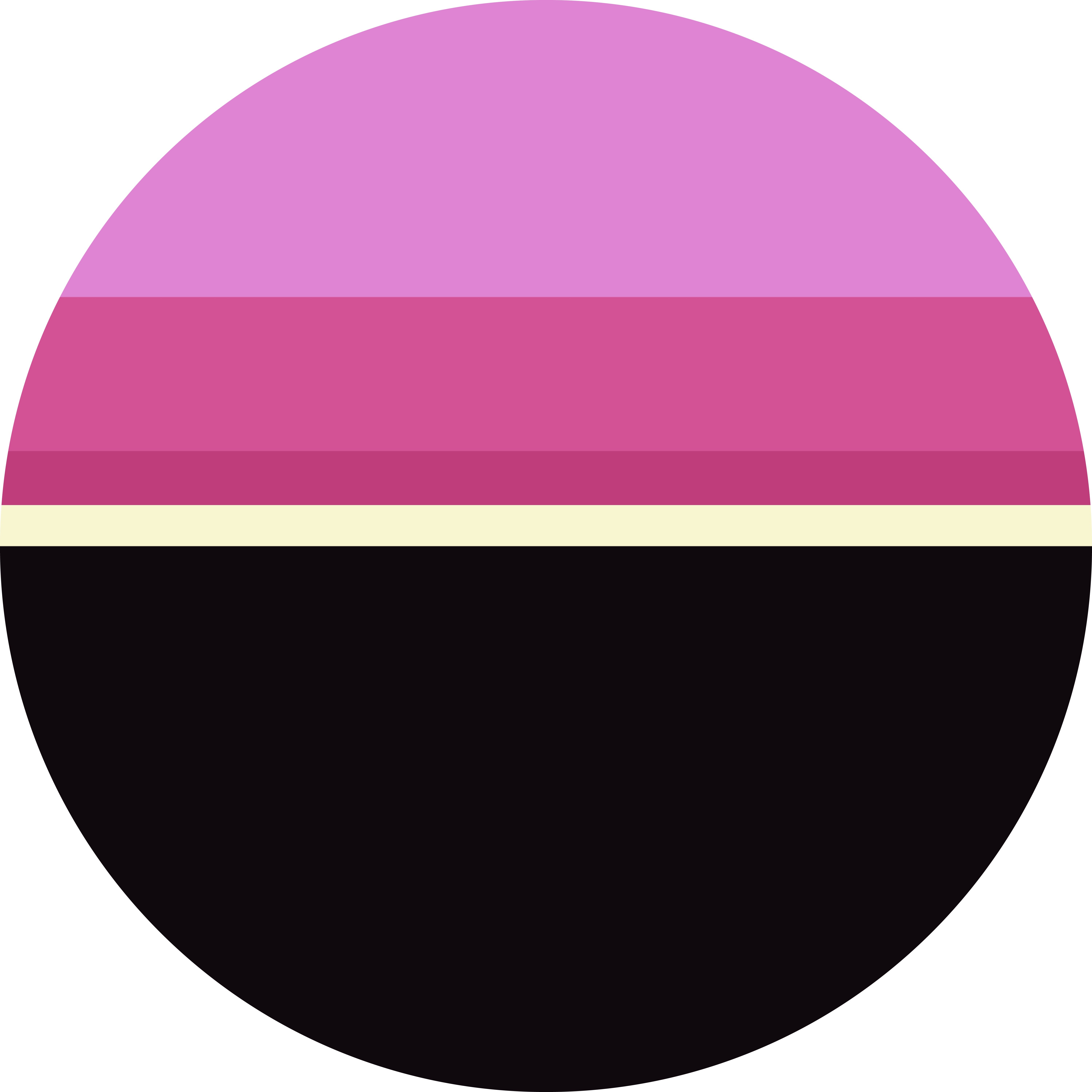 Black lace cactus color palette