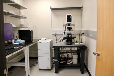 Nikon AXR Upright Confocal Microscope