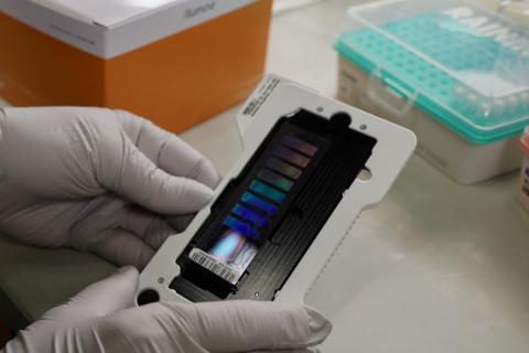 EPIC Methylation Array