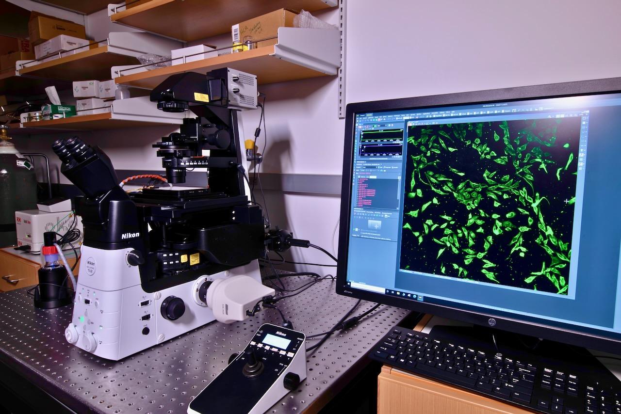 Nikon High Content Analysis Microscope