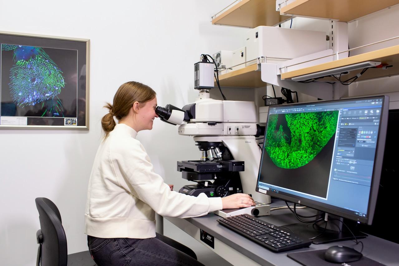 Nikon Ni-E Upright Fluorescence Microscope