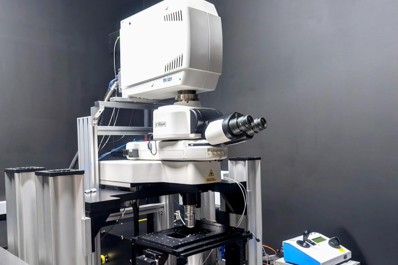 Nikon A1R Multiphoton