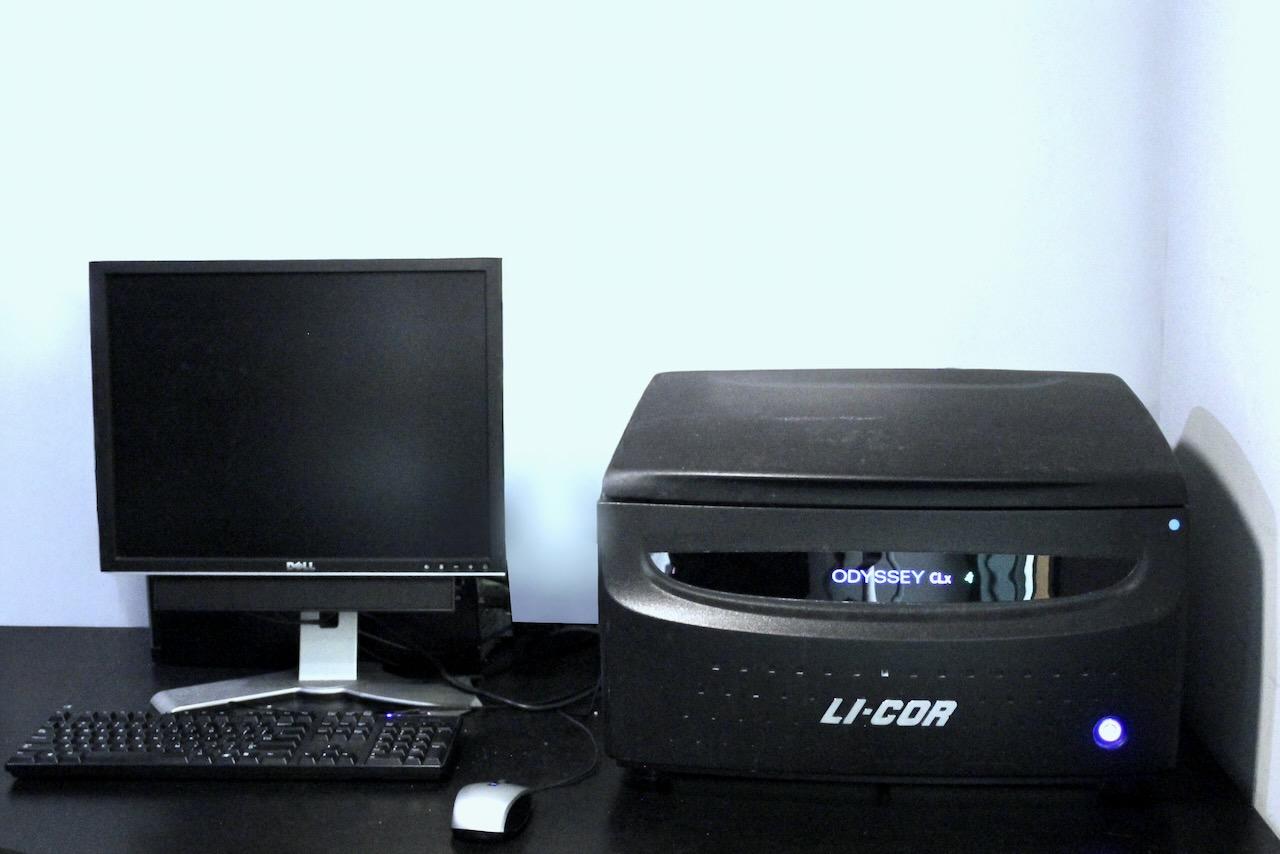 Li-Cor Odyssey CLx Infrared Imager