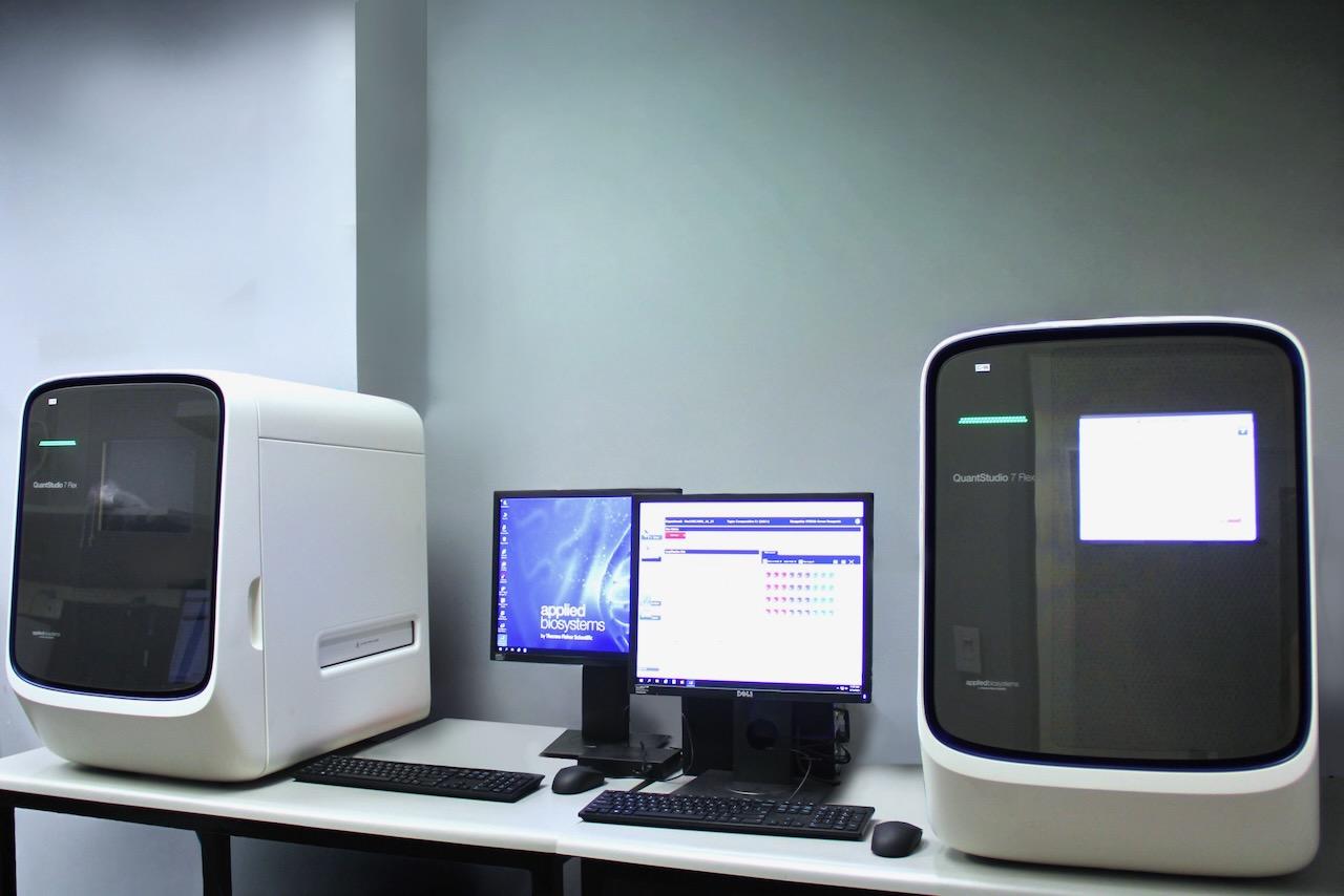 QuantStudio real-time PCR system