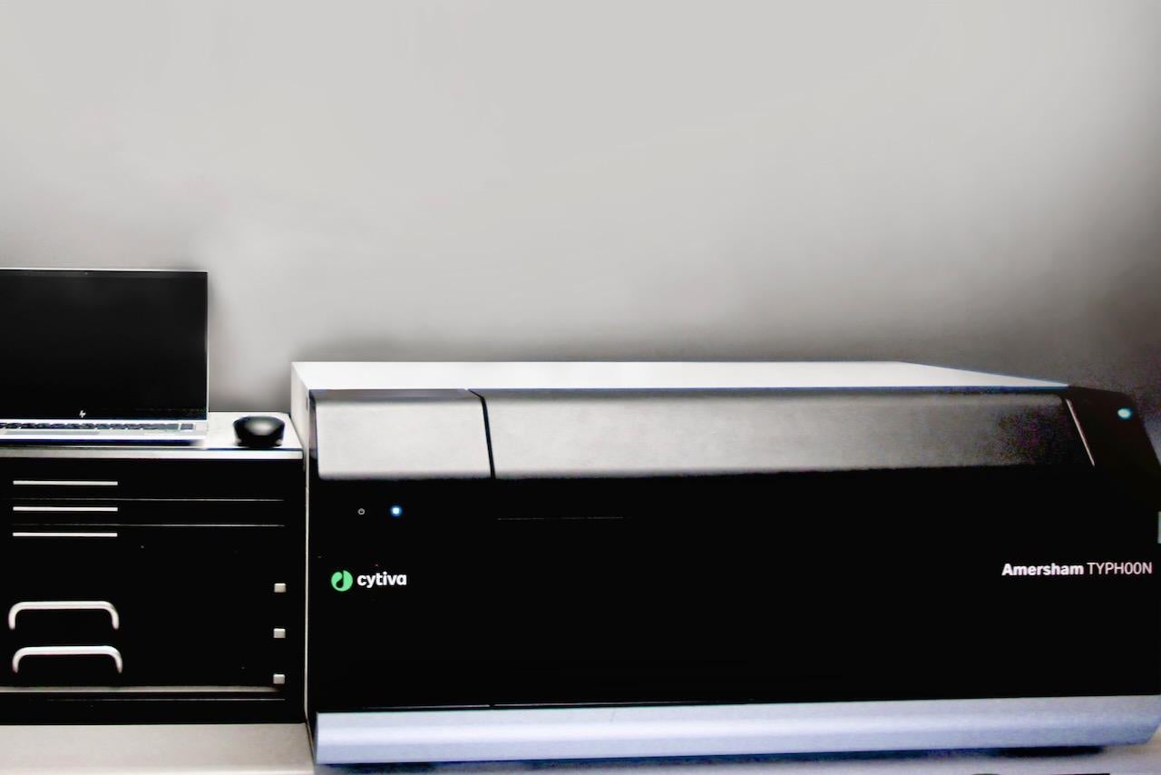 Cytiva Typhoon RGB Imager