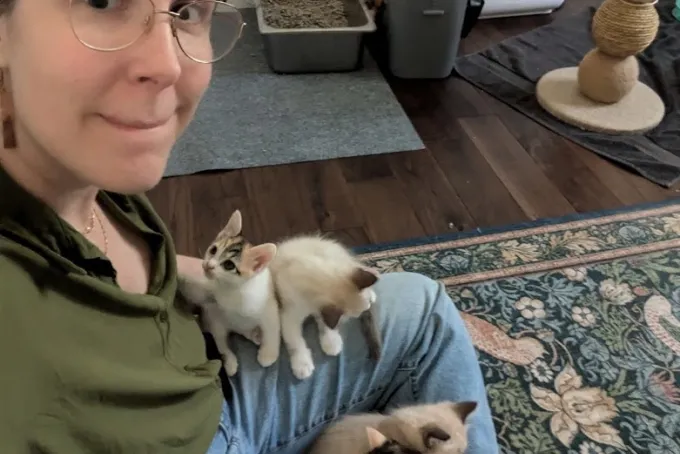 Kim Jennings, with some of her foster kittens