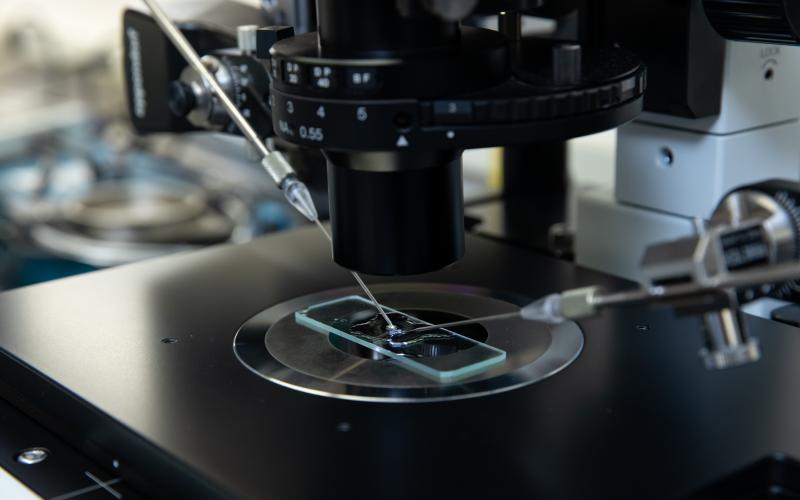 transgenics equipment