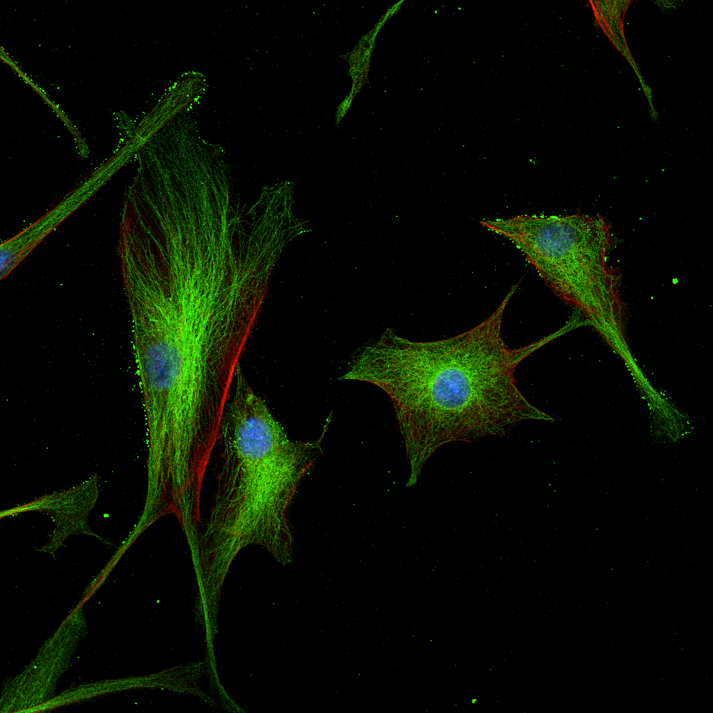 Image three thumbnail