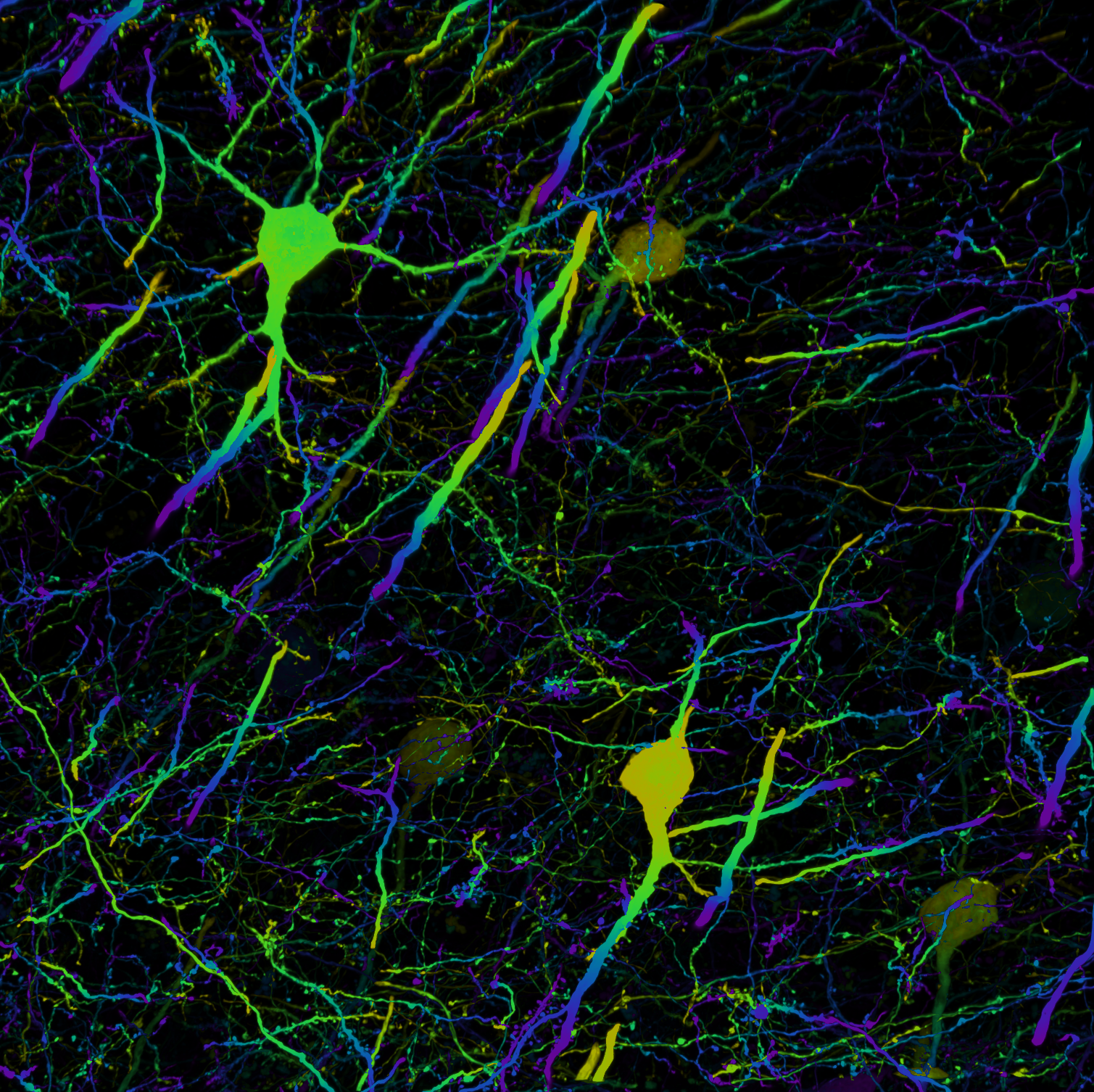 Image four thumbnail