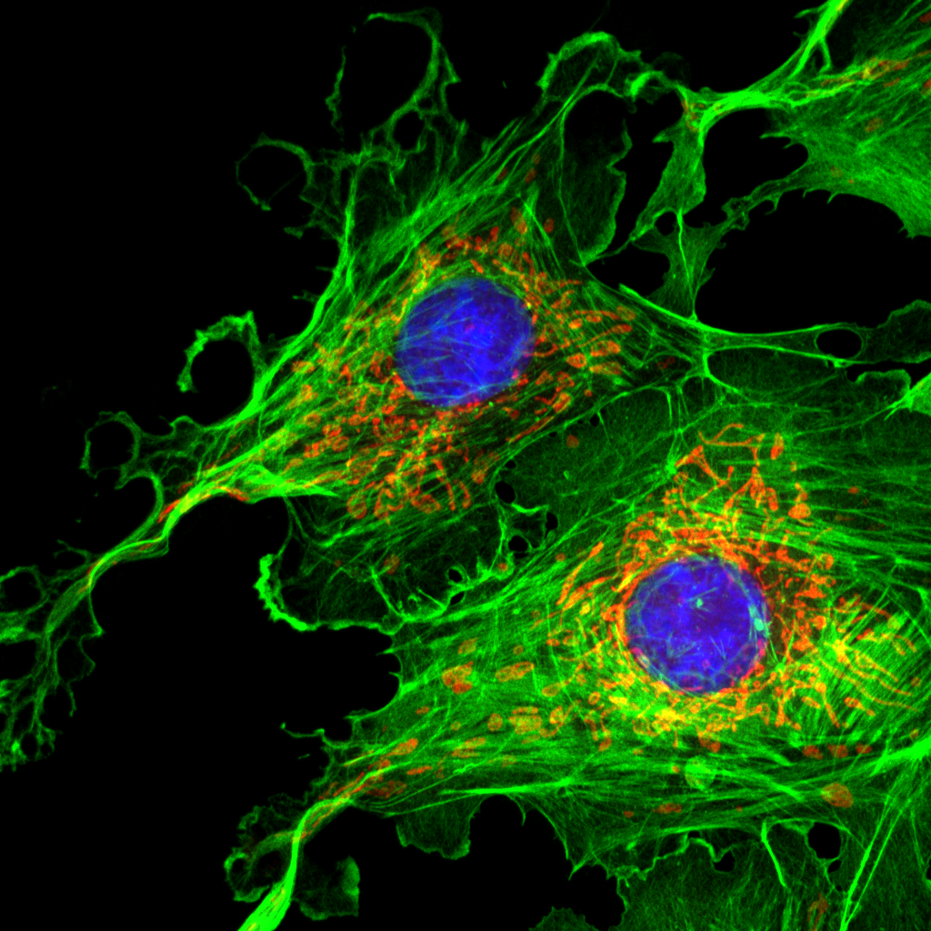 Image five thumbnail